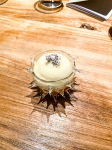 sea urchin mirazur